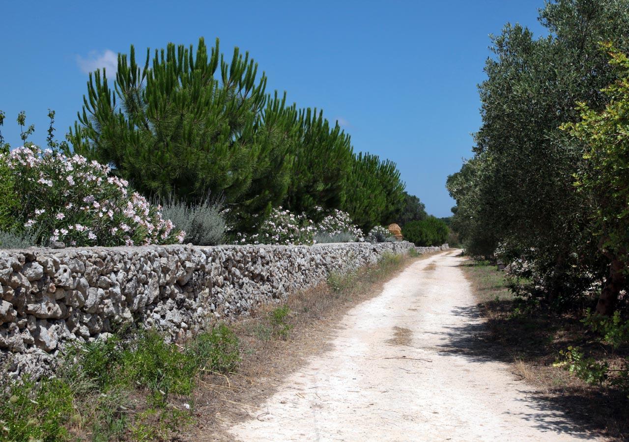 Novecento Room And Breakfast Puglia Massafra Bagian luar foto